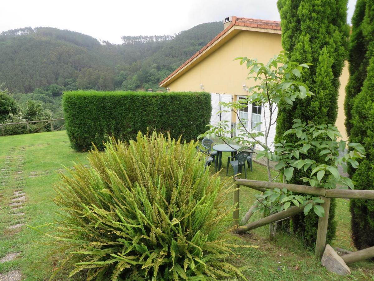 Apartamentos El Otero De Cudillero Soto de Luiña Pokój zdjęcie